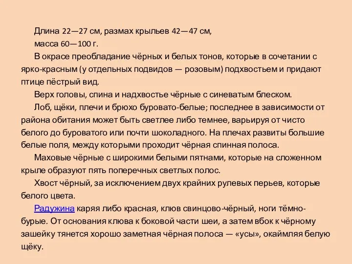 Длина 22—27 см, размах крыльев 42—47 см, масса 60—100 г. В