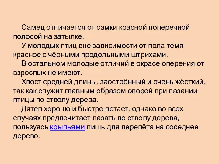 Самец отличается от самки красной поперечной полосой на затылке. У молодых