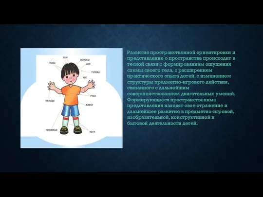 Развитие пространственной ориентировки и представление о пространстве происходит в тесной связи