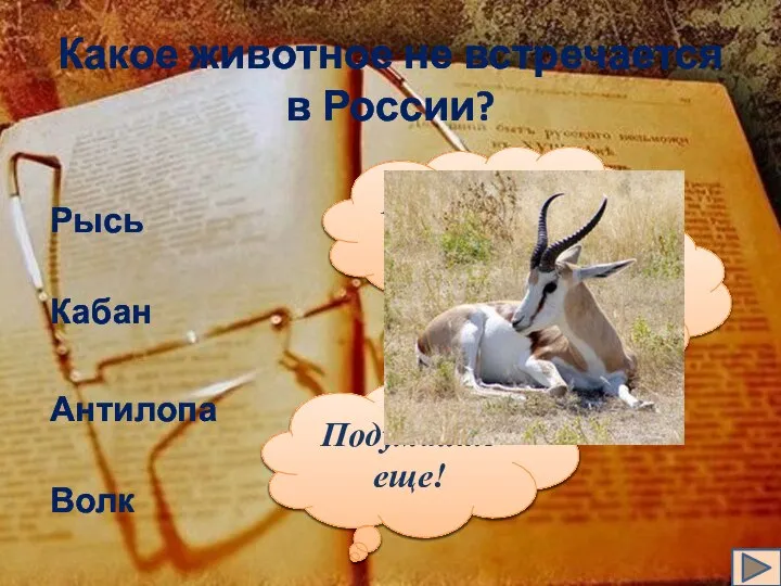 Какое животное не встречается в России? Рысь Кабан Антилопа Волк Подумайте еще! Подумайте еще! Подумайте еще!