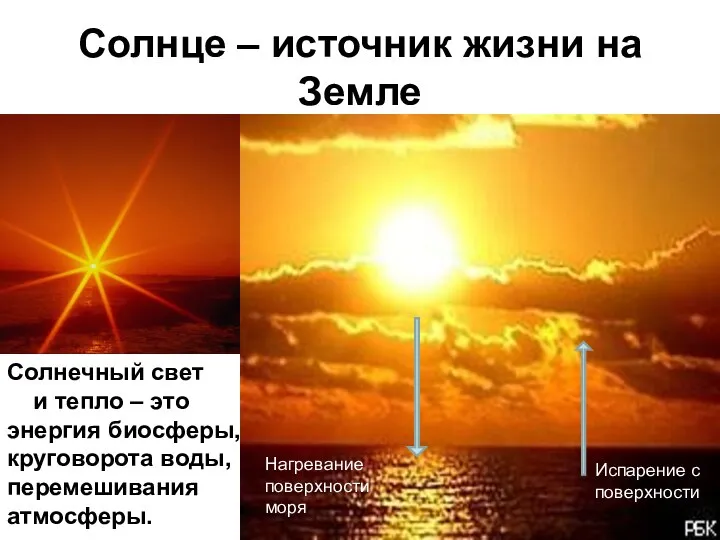Солнце – источник жизни на Земле Солнечный свет и тепло –