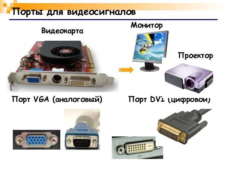 Порты для видеосигналов Порт VGA (аналоговый) Порт DVI (цифровой) Видеокарта Монитор Проектор