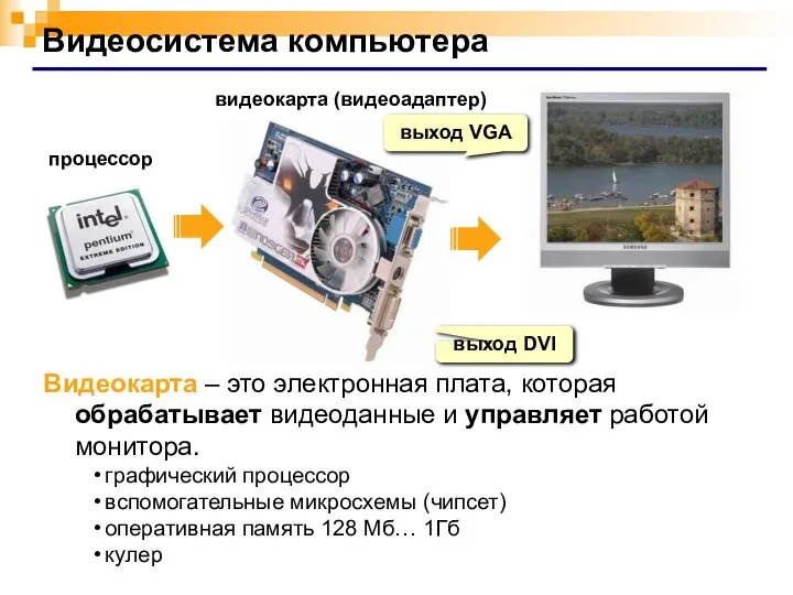 Видеосистема компьютера процессор видеокарта (видеоадаптер) выход DVI выход VGA Видеокарта –