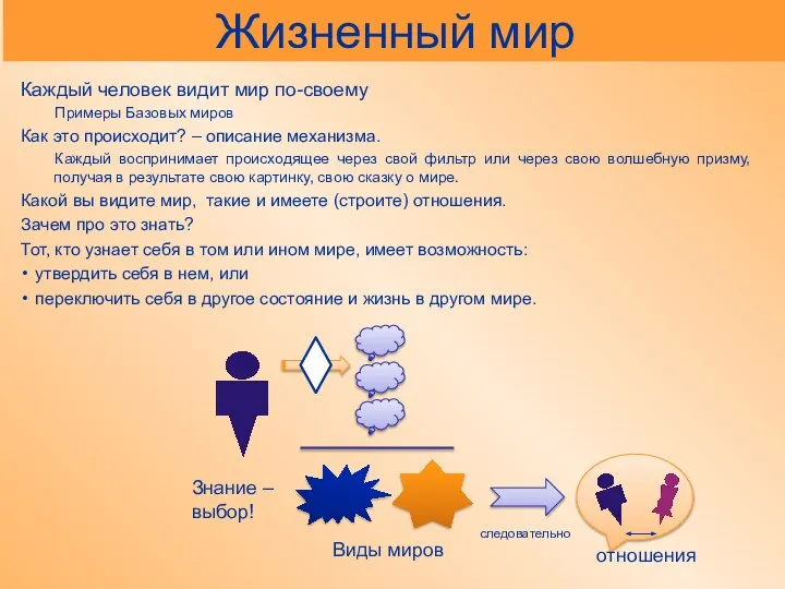 Жизненный мир Каждый человек видит мир по-своему Примеры Базовых миров Как