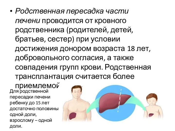 Родственная пересадка части печени проводится от кровного родственника (родителей, детей, братьев,