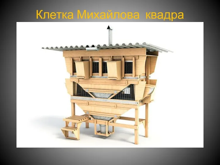 Клетка Михайлова квадра