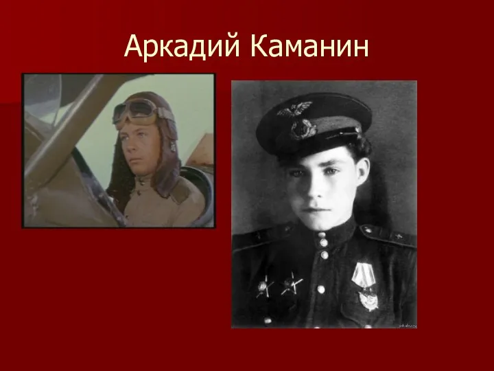 Аркадий Каманин