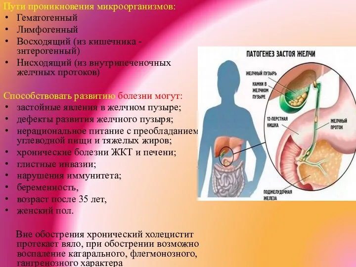 Пути проникновения микроорганизмов: Гематогенный Лимфогенный Восходящий (из кишечника - знтерогенный) Нисходящий