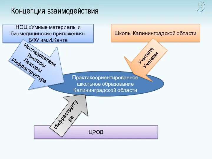 Практикоориентированное школьное образование Калининградской области Концепция взаимодействия НОЦ «Умные материалы и