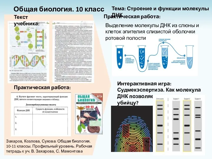 Захаров, Козлова, Сухова: Общая биология. 10-11 классы. Профильный уровень. Рабочая тетрадь