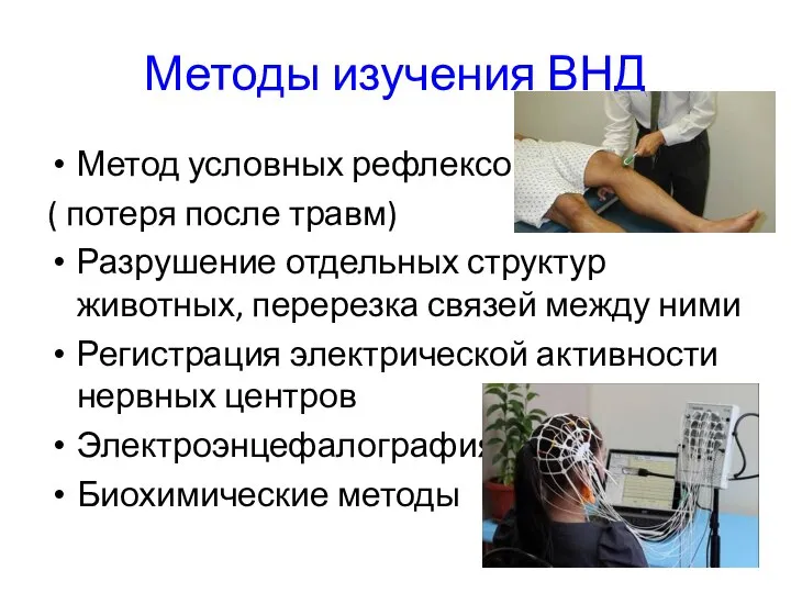 Методы изучения ВНД Метод условных рефлексов ( потеря после травм) Разрушение