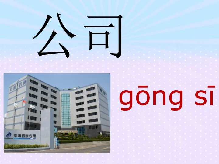 公司 gōng sī