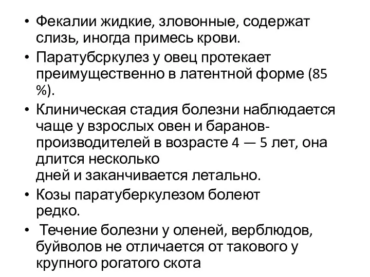 Фекалии жидкие, зловонные, содержат слизь, иногда примесь крови. Паратубсркулез у овец