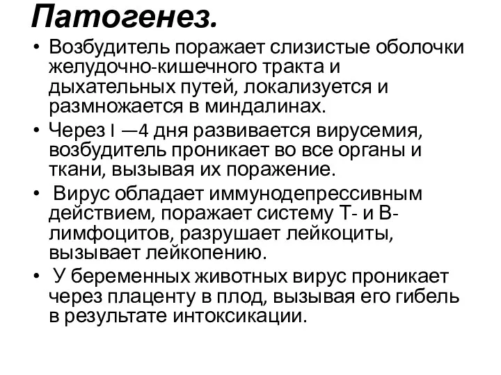 Патогенез. Возбудитель поражает слизистые оболочки желудочно-кишечного тракта и дыхательных путей, локализуется