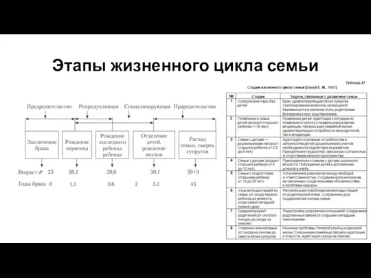 Этапы жизненного цикла семьи