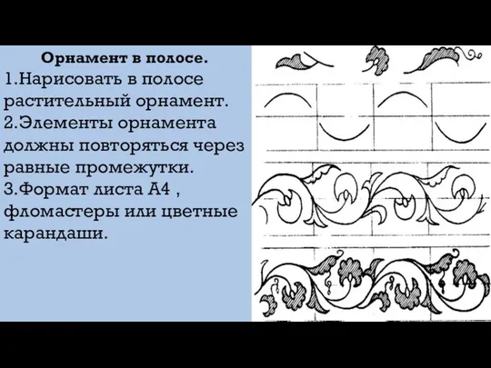 Орнамент в полосе. 1.Нарисовать в полосе растительный орнамент. 2.Элементы орнамента должны