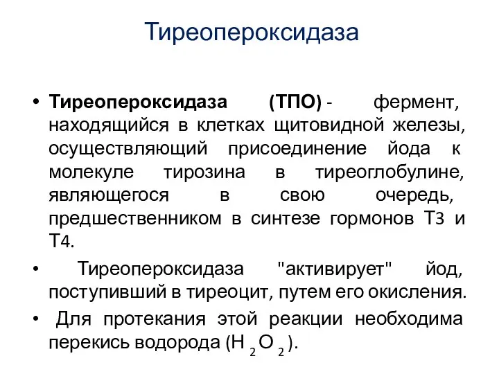 Тиреопероксидаза Тиреопероксидаза (ТПО) - фермент, находящийся в клетках щитовидной железы, осуществляющий