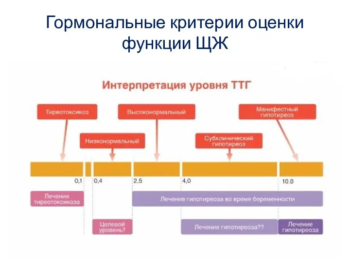 Гормональные критерии оценки функции ЩЖ