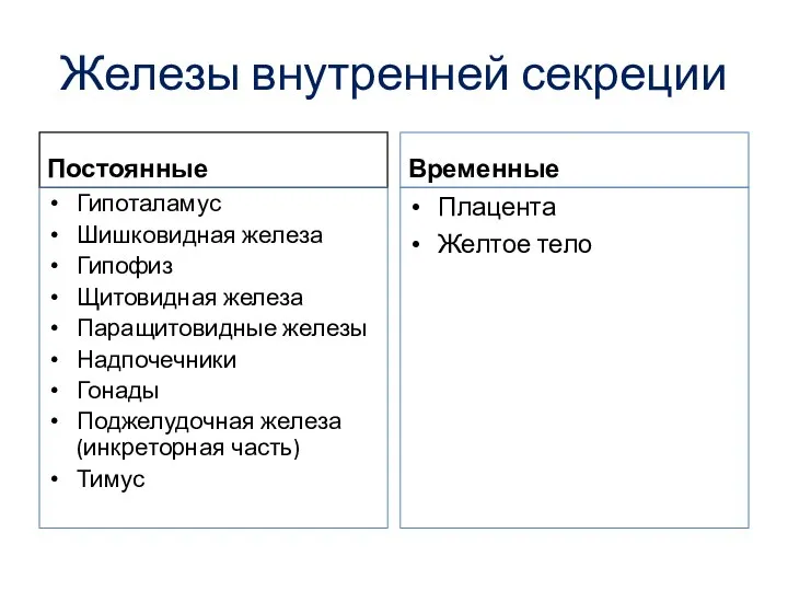 Железы внутренней секреции Постоянные Гипоталамус Шишковидная железа Гипофиз Щитовидная железа Паращитовидные