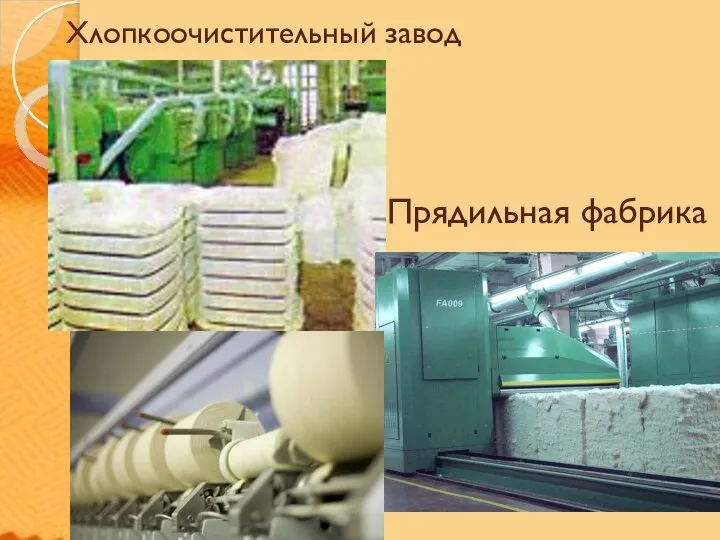 Хлопкоочистительный завод Прядильная фабрика