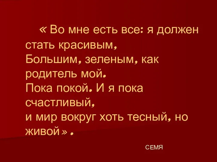 «Во мне есть все: я должен стать красивым, Большим, зеленым, как