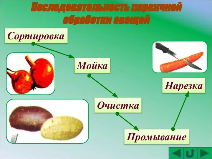 Последовательность первичной обработки овощей Сортировка Мойка Очистка Промывание Нарезка