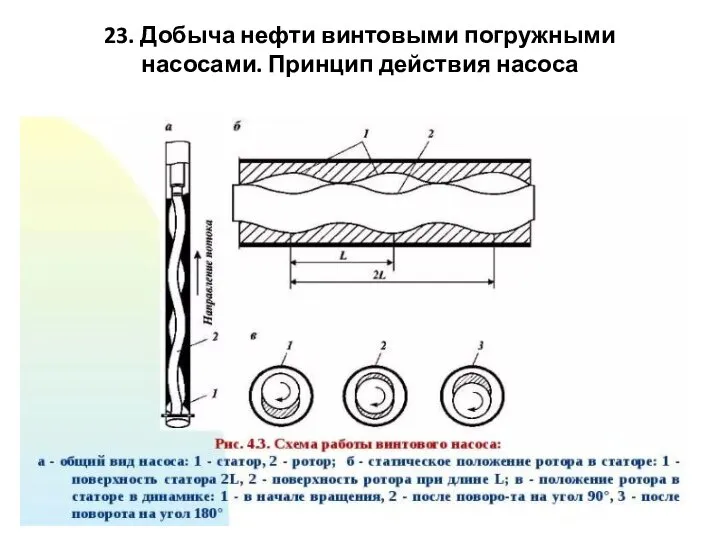 23. Добыча нефти винтовыми погружными насосами. Принцип действия насоса