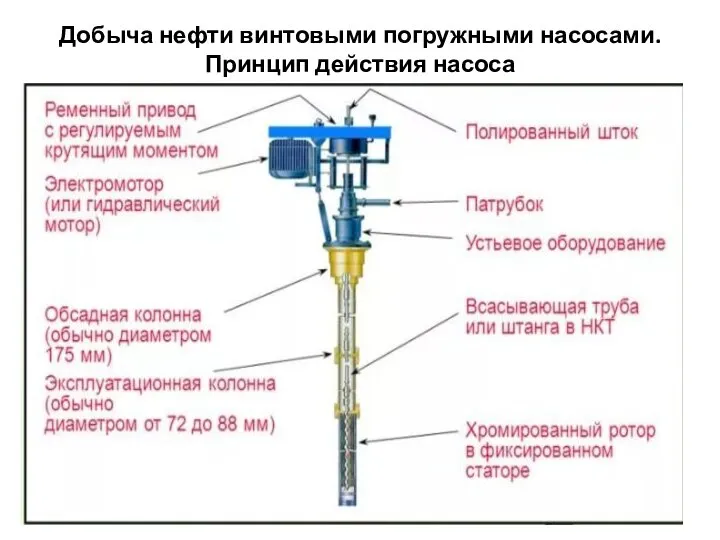 Добыча нефти винтовыми погружными насосами. Принцип действия насоса