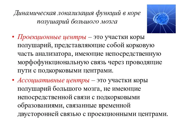 Динамическая локализация функций в коре полушарий большого мозга Проекционные центры –