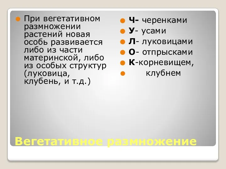 Вегетативное размножение При вегетативном размножении растений новая особь развивается либо из