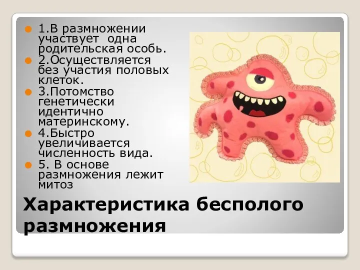 Характеристика бесполого размножения 1.В размножении участвует одна родительская особь. 2.Осуществляется без