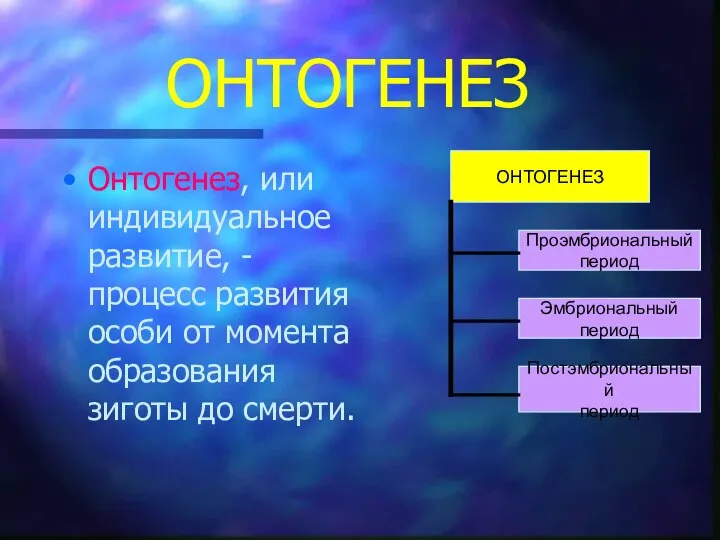 ОНТОГЕНЕЗ Онтогенез, или индивидуальное развитие, - процесс развития особи от момента