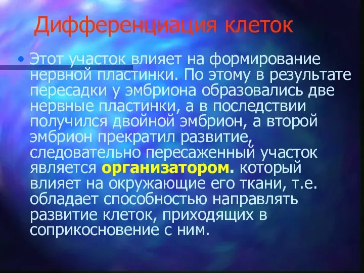 Дифференциация клеток Этот участок влияет на формирование нервной пластинки. По этому