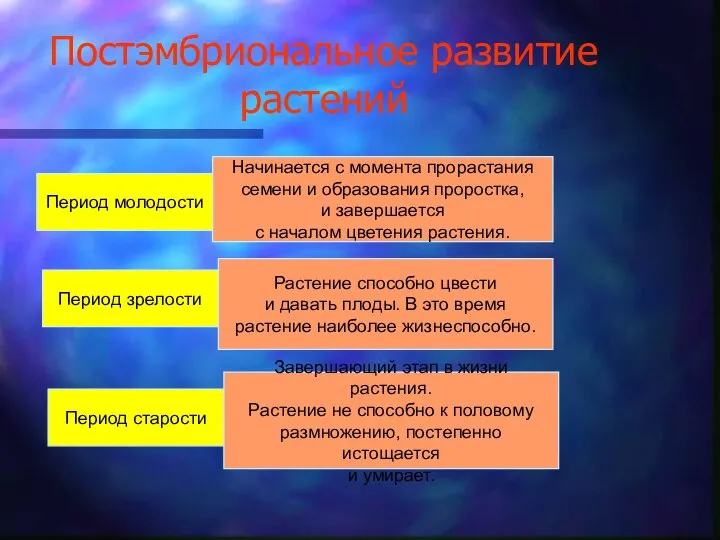 Постэмбриональное развитие растений Период молодости Период зрелости Период старости Начинается с