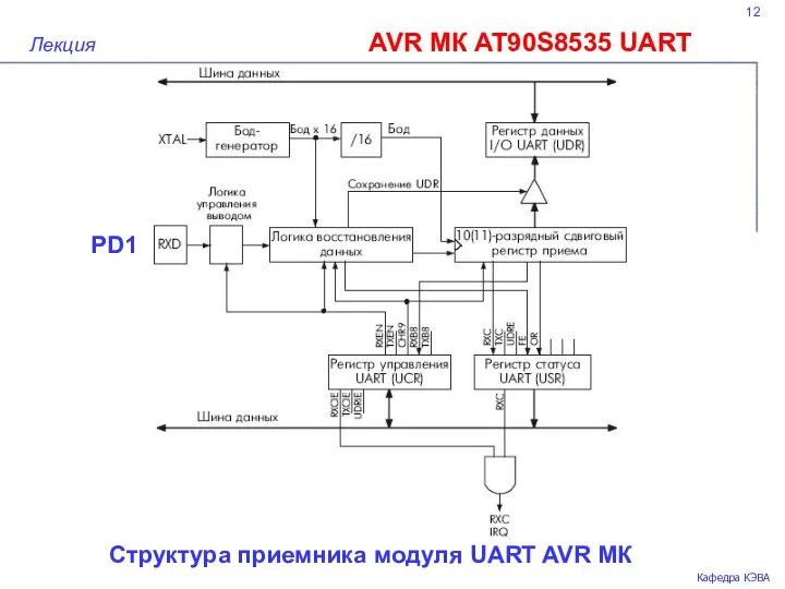 12 AVR МК AT90S8535 UART Лекция Кафедра КЭВА Структура приемника модуля UART AVR МК РD1