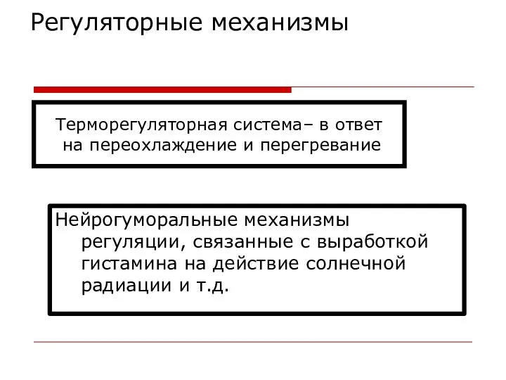 Регуляторные механизмы Терморегуляторная система– в ответ на переохлаждение и перегревание Нейрогуморальные