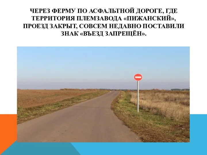 ЧЕРЕЗ ФЕРМУ ПО АСФАЛЬТНОЙ ДОРОГЕ, ГДЕ ТЕРРИТОРИЯ ПЛЕМЗАВОДА «ПИЖАНСКИЙ», ПРОЕЗД ЗАКРЫТ,