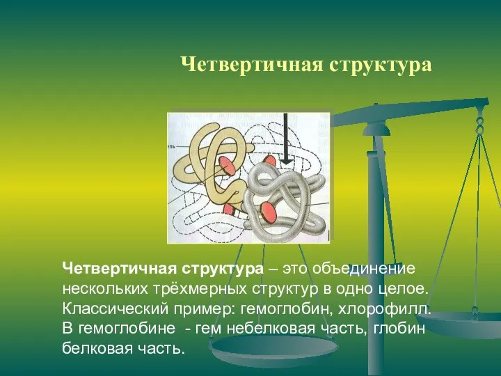 Четвертичная структура Четвертичная структура – это объединение нескольких трёхмерных структур в