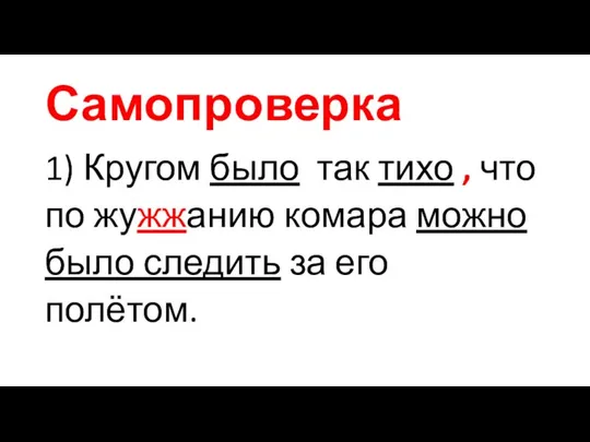 Самопроверка 1) Кругом было так тихо , что по жужжанию комара