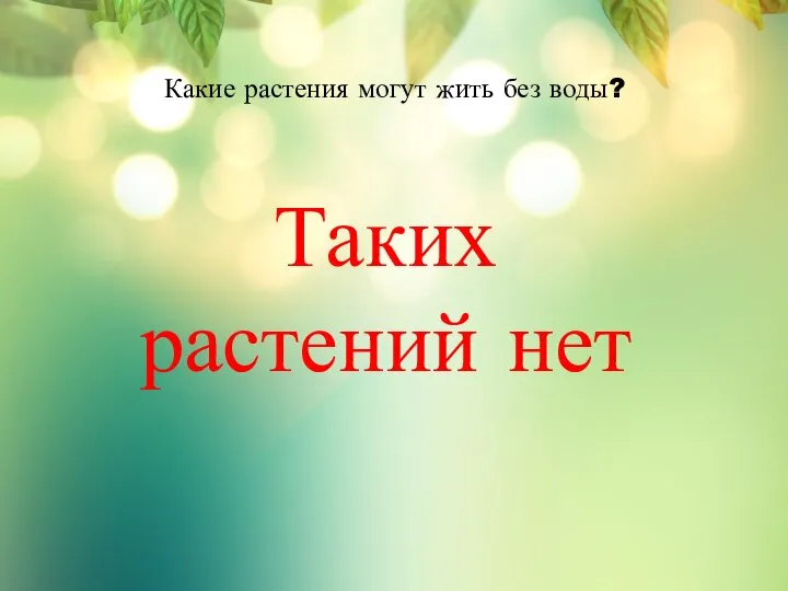 Какие растения могут жить без воды? Таких растений нет