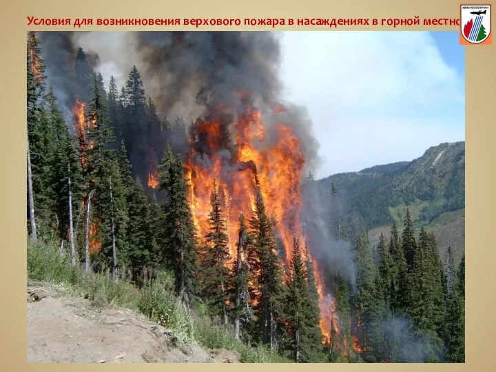 Условия для возникновения верхового пожара в насаждениях в горной местности