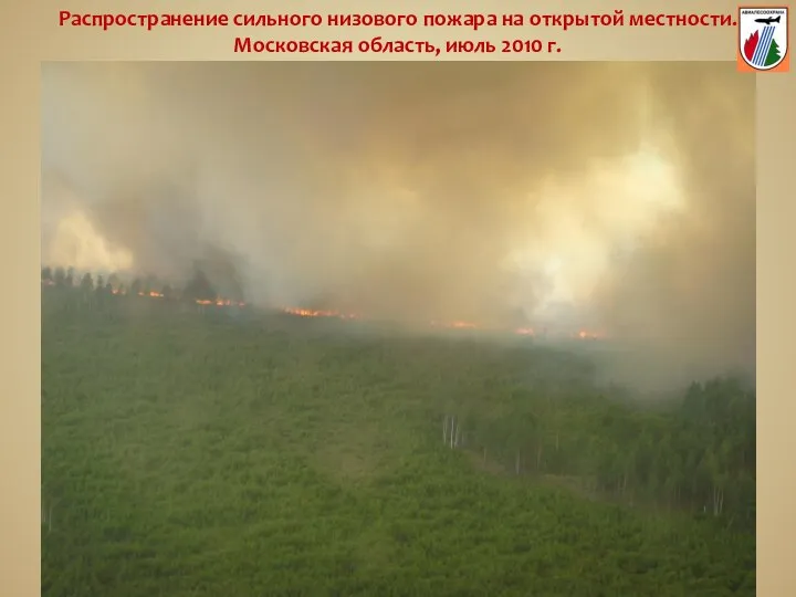 Распространение сильного низового пожара на открытой местности. Московская область, июль 2010 г.