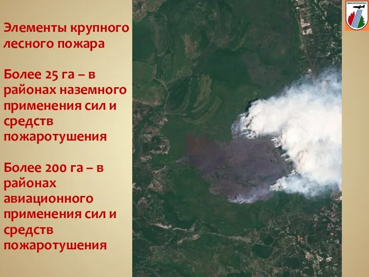 Элементы крупного лесного пожара Более 25 га – в районах наземного