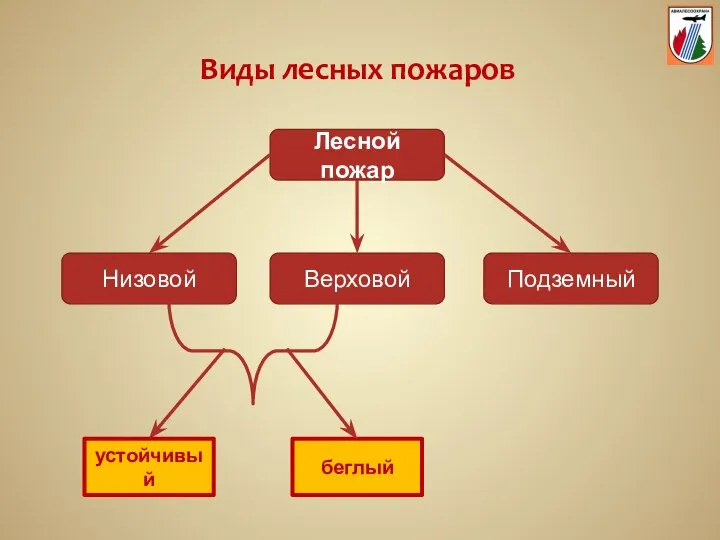 Виды лесных пожаров