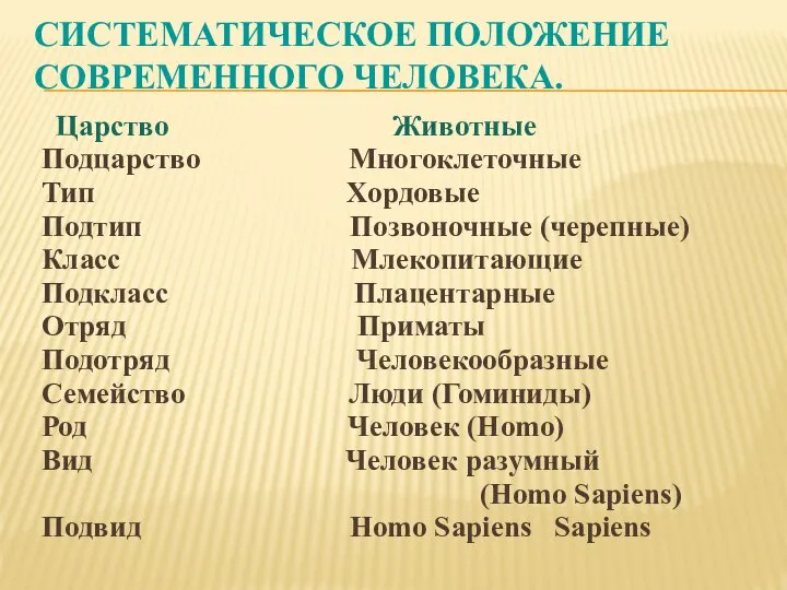 СИСТЕМАТИЧЕСКОЕ ПОЛОЖЕНИЕ СОВРЕМЕННОГО ЧЕЛОВЕКА. Царство Животные Подцарство Многоклеточные Тип Хордовые Подтип