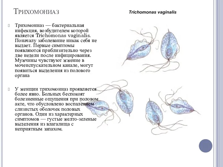 Трихомониаз Трихомониаз — бактериальная инфекция, возбудителем которой является Trichomonas vaginalis. Поначалу