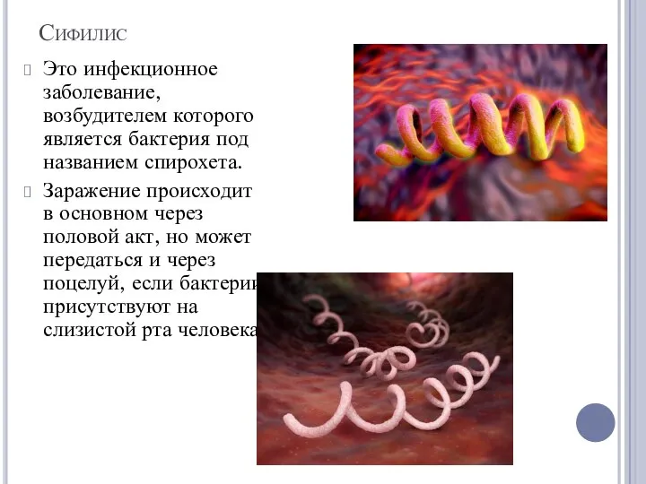 Сифилис Это инфекционное заболевание, возбудителем которого является бактерия под названием спирохета.