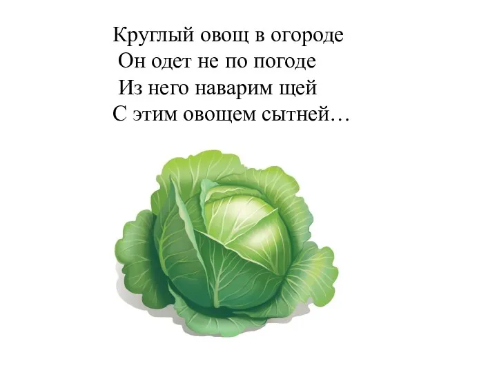 Круглый овощ в огороде Он одет не по погоде Из него