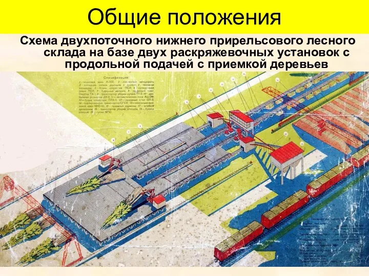 Общие положения Схема двухпоточного нижнего прирельсового лесного склада на базе двух