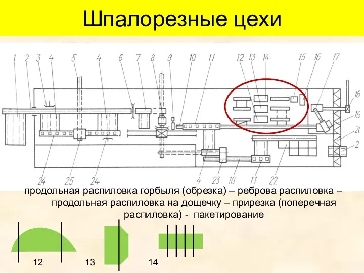 Шпалорезные цехи продольная распиловка горбыля (обрезка) – реброва распиловка – продольная